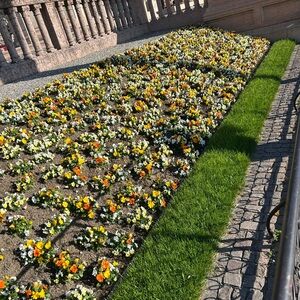 Meet your Posher, Paige